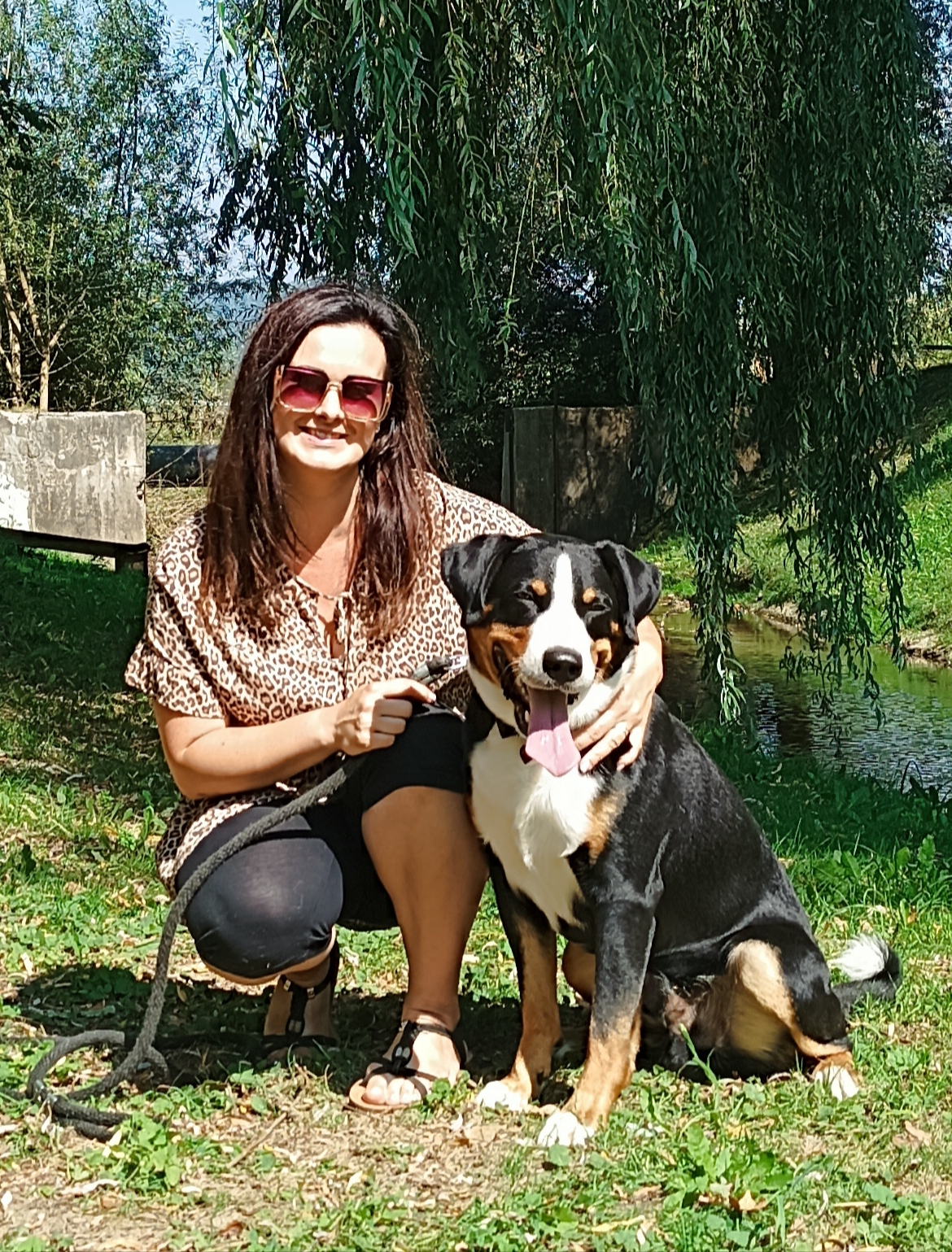 Appenzellský salašnický pes